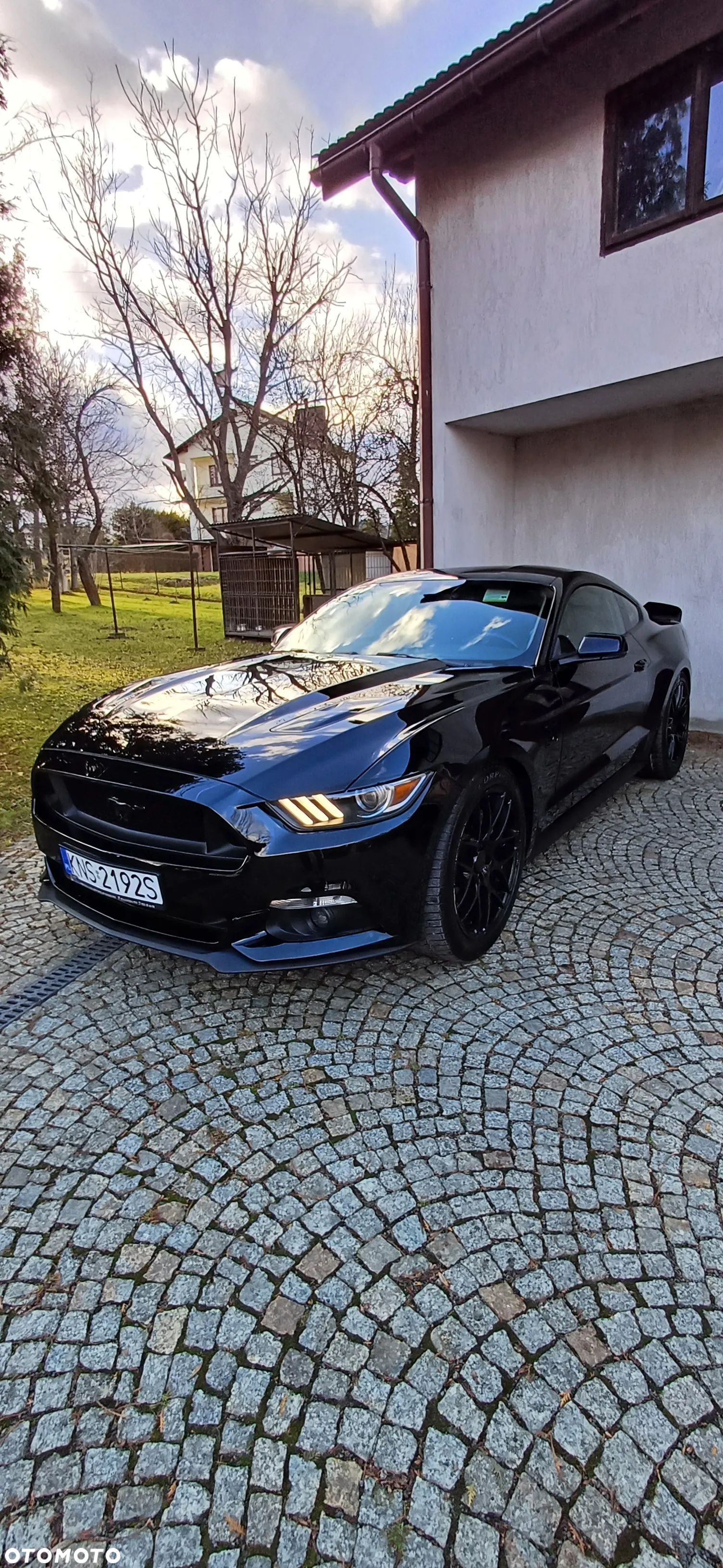 Ford Mustang 5.0 V8 GT - 1
