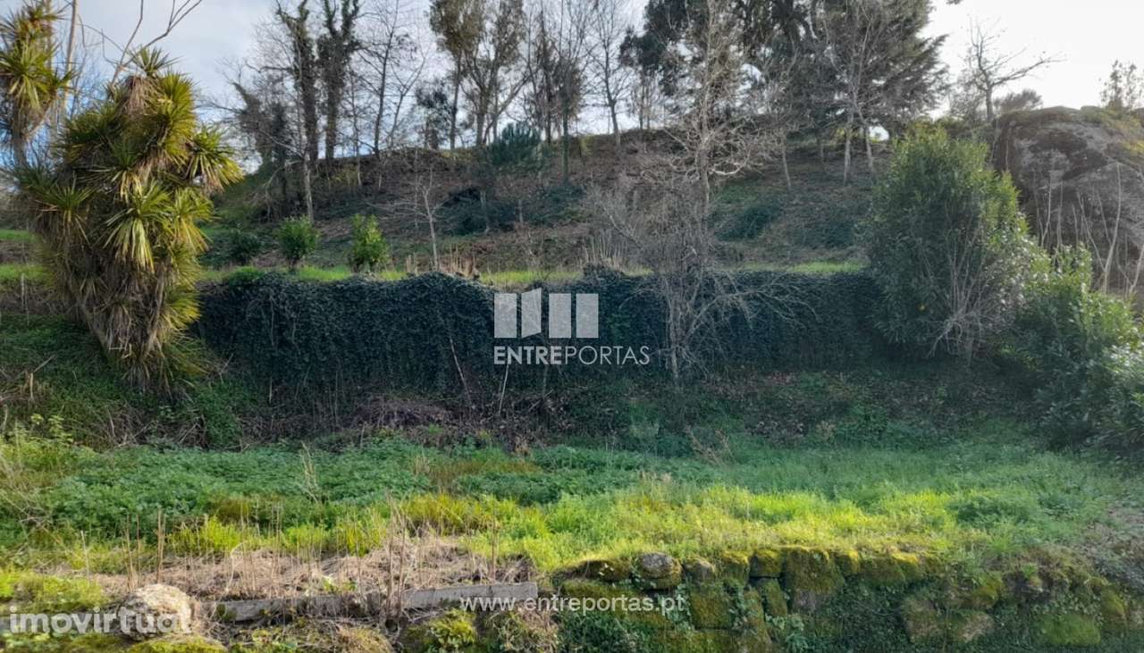 Venda Terreno, Gatão, Amarante - Grande imagem: 2/30