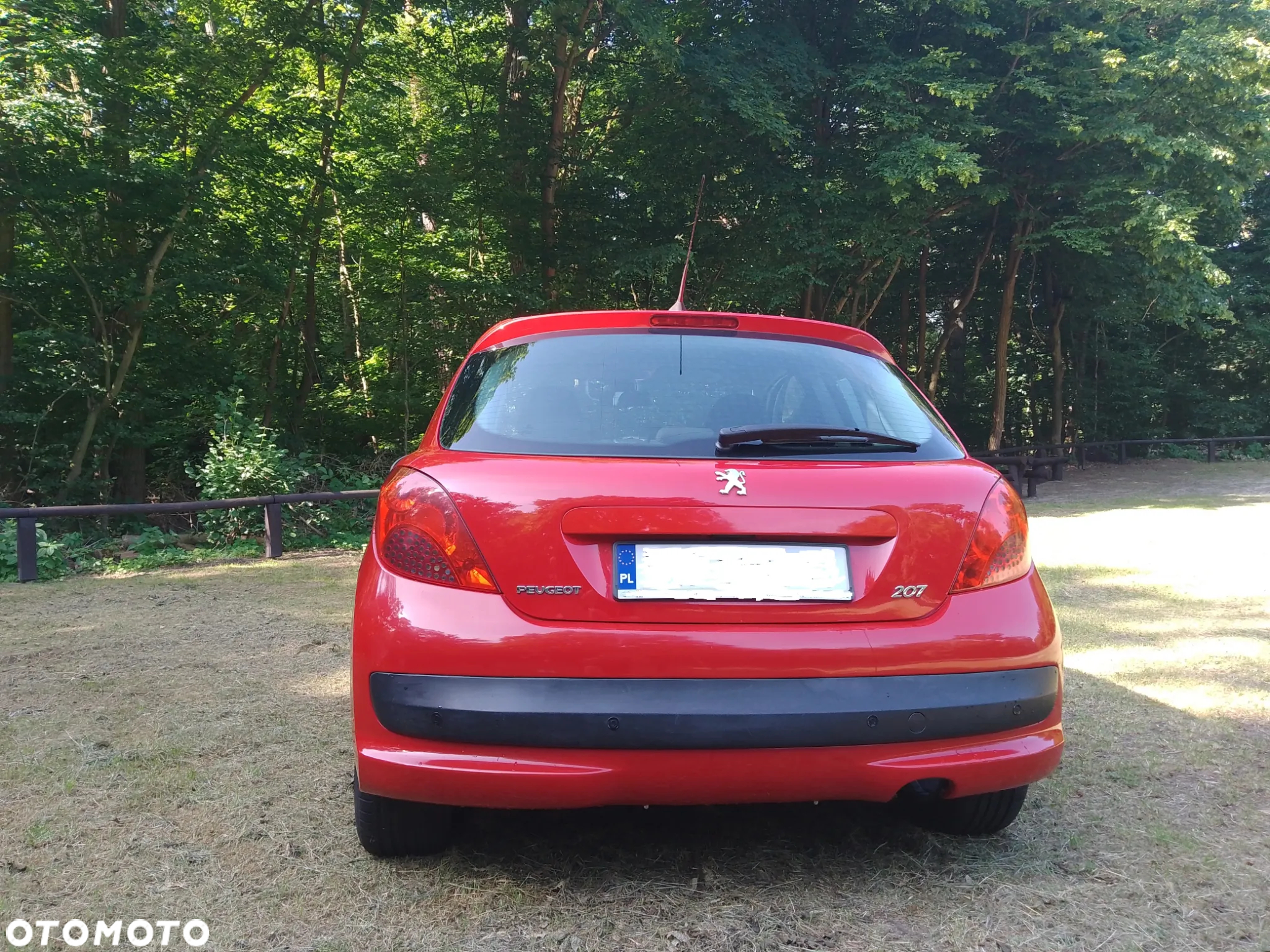 Peugeot 207 - 5