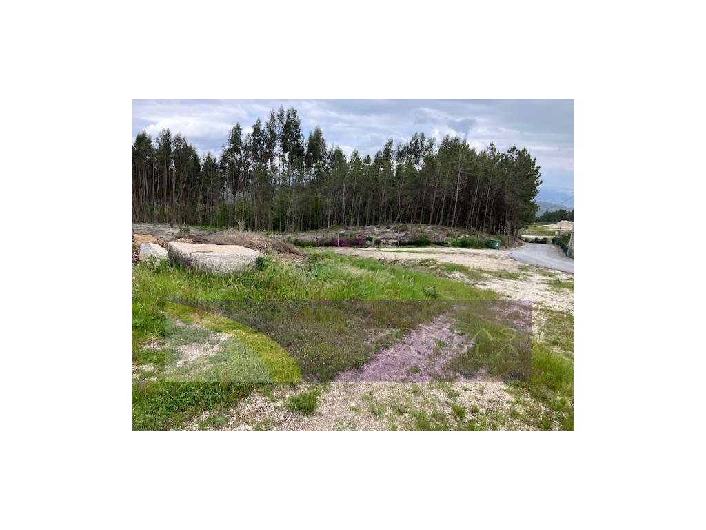 Terreno, Celorico de Bastos - Grande imagem: 3/14