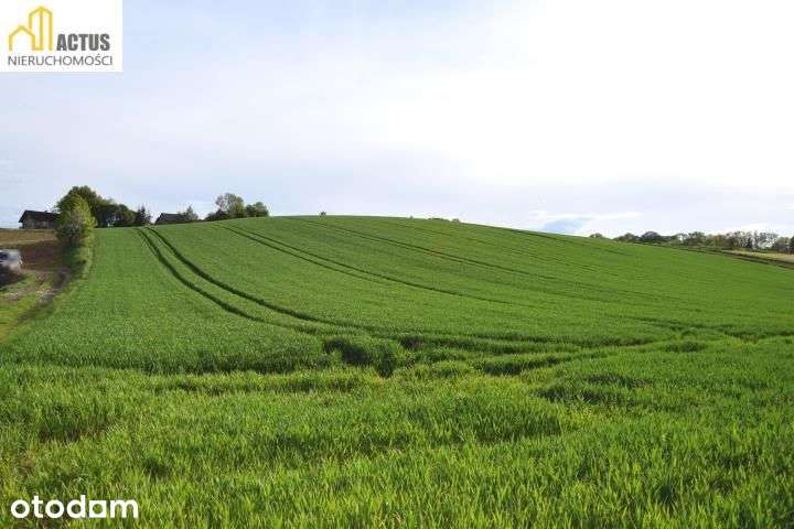 Nieruchomość 1,32 ha Stręgoborzyce - Pełny obrazek: 5/11
