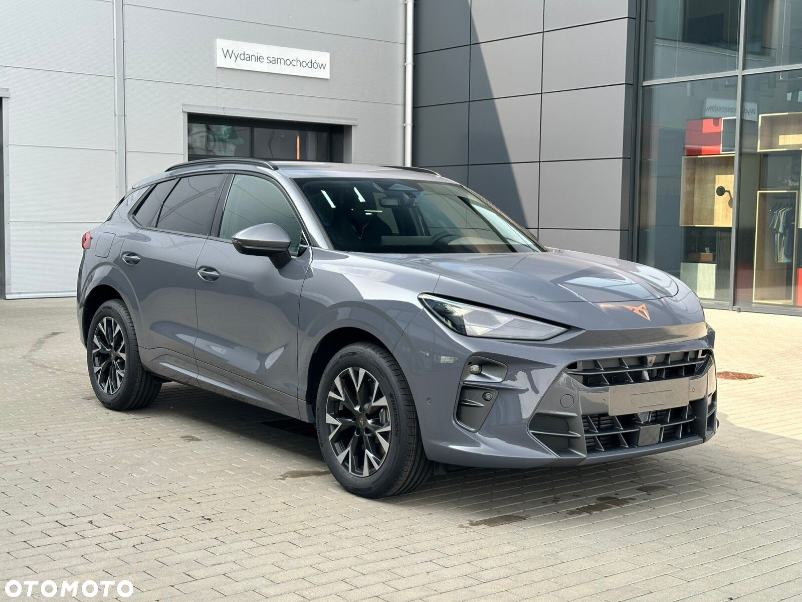 Cupra Terramar - 4