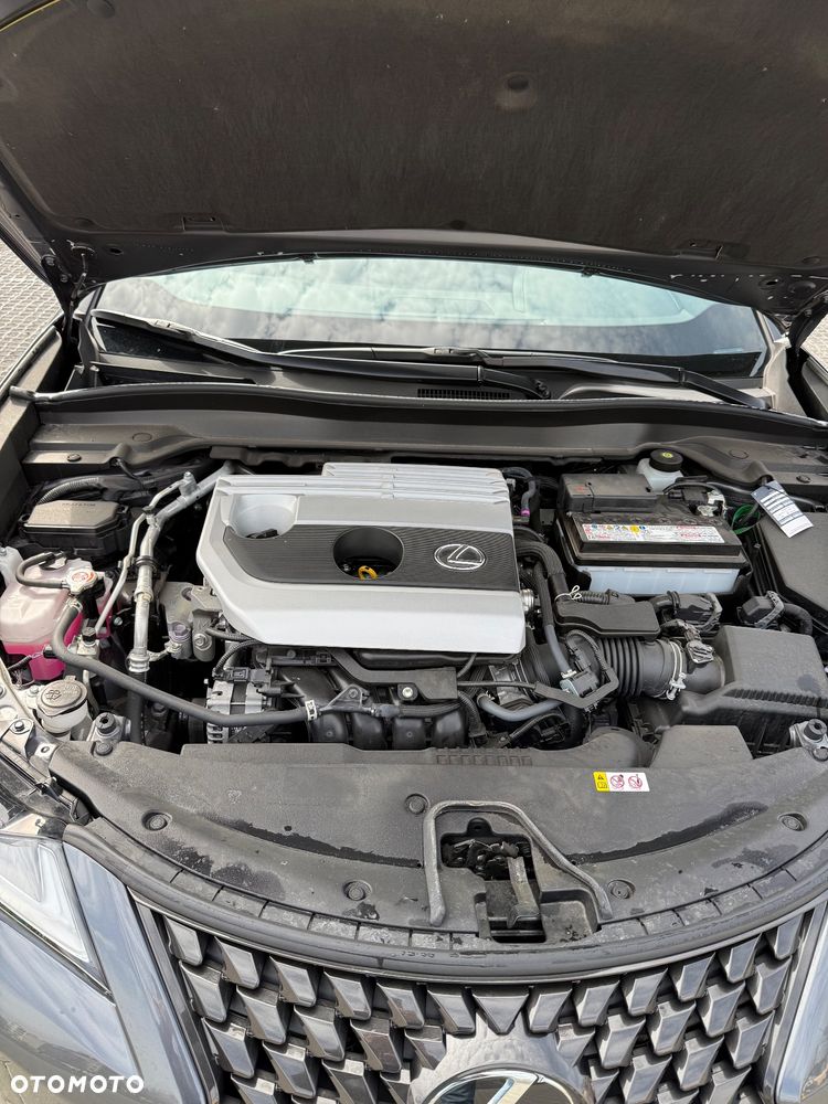 Lexus UX 200 GPF Business 2WD - 12