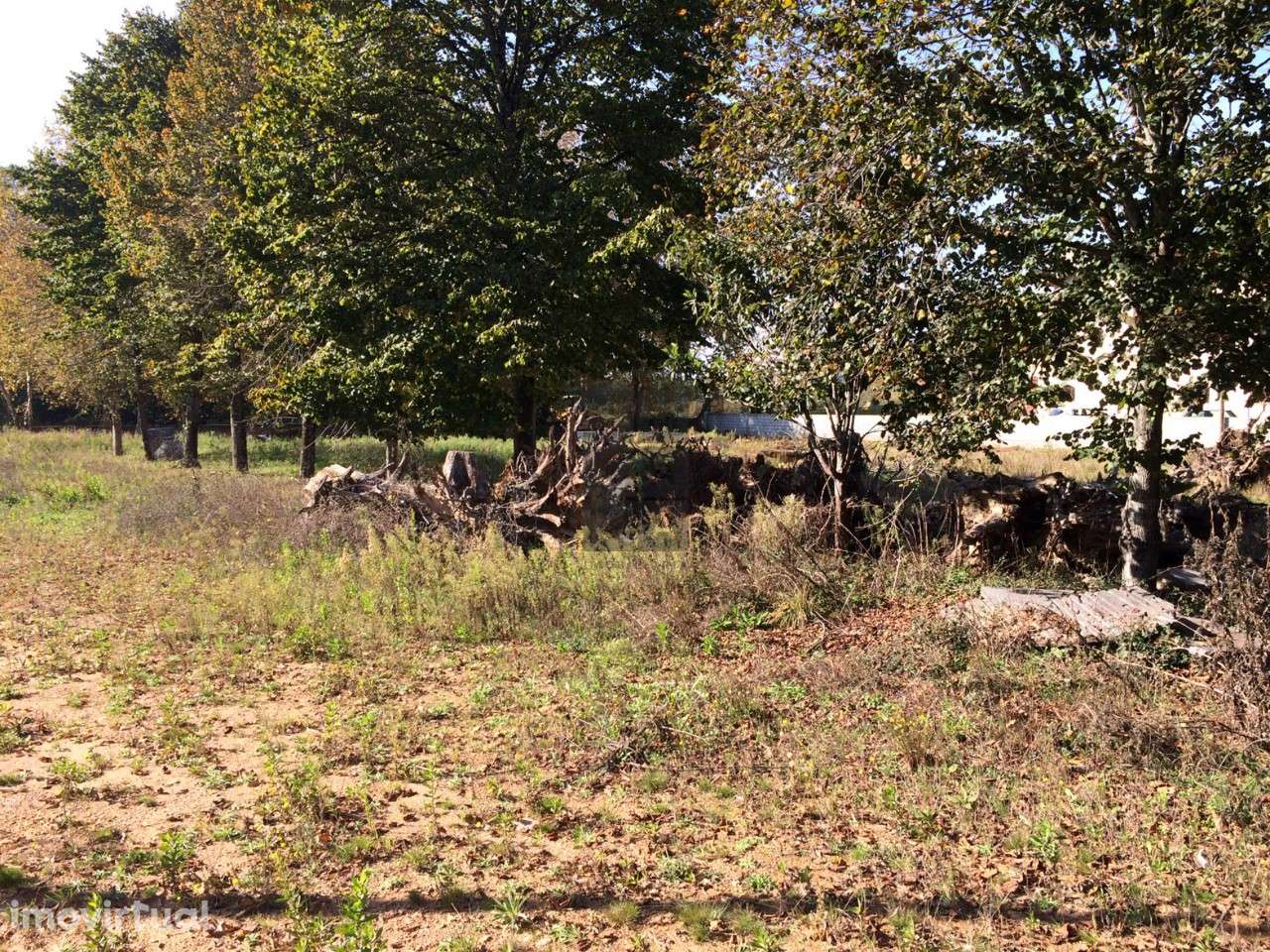 Terreno  Venda em São Roque,Oliveira de Azeméis - Grande imagem: 4/5