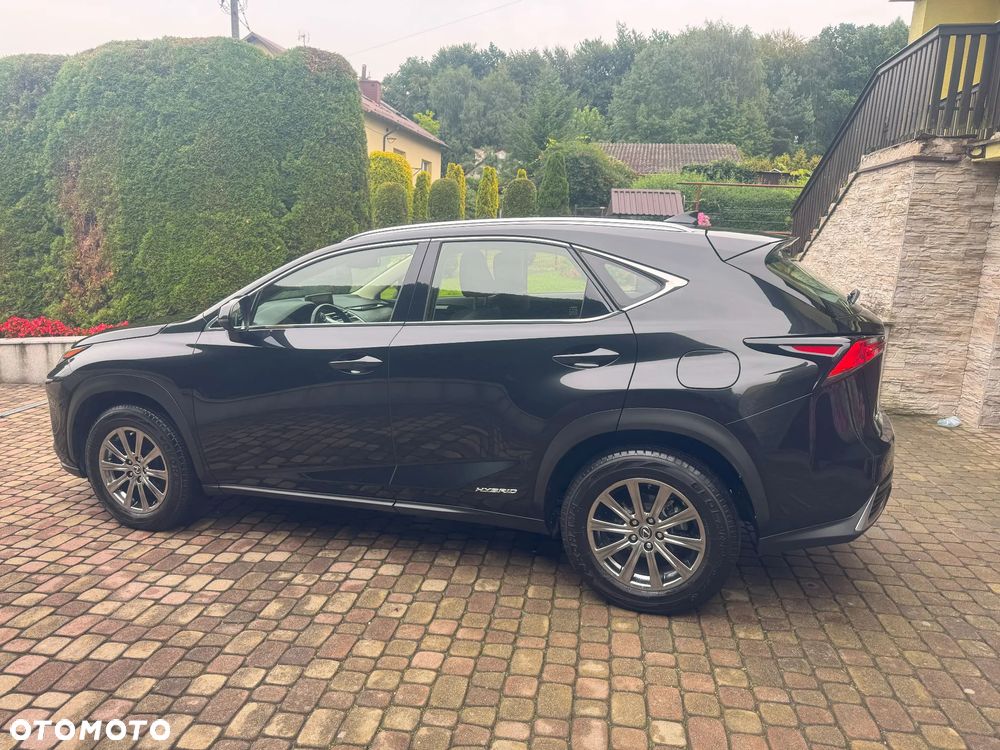 Lexus NX 350h Business AWD - 9