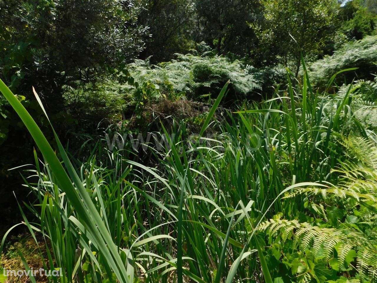 Quinta / Fundão, Lavacolhos - Grande imagem: 3/4