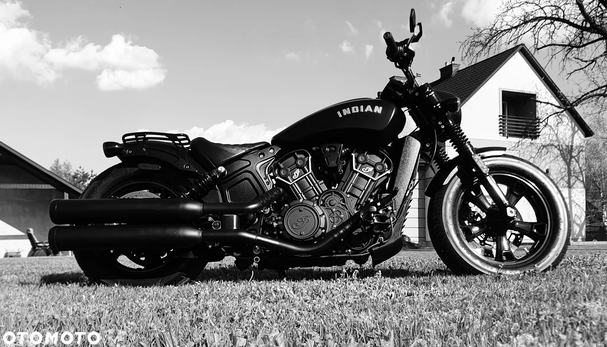 Indian Scout - 4