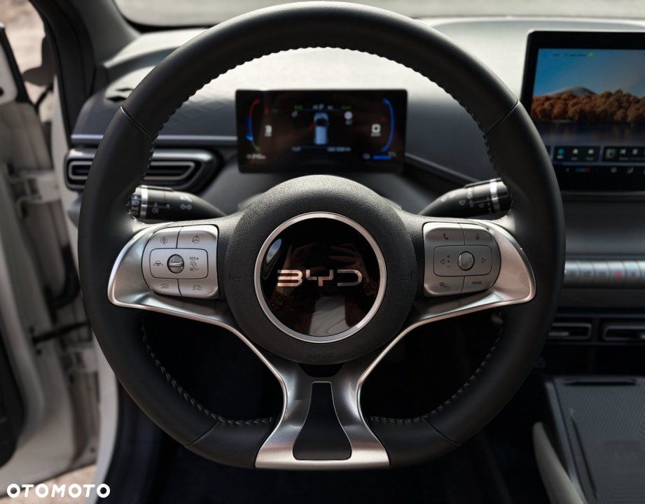 BYD Dolphin Surf - 12