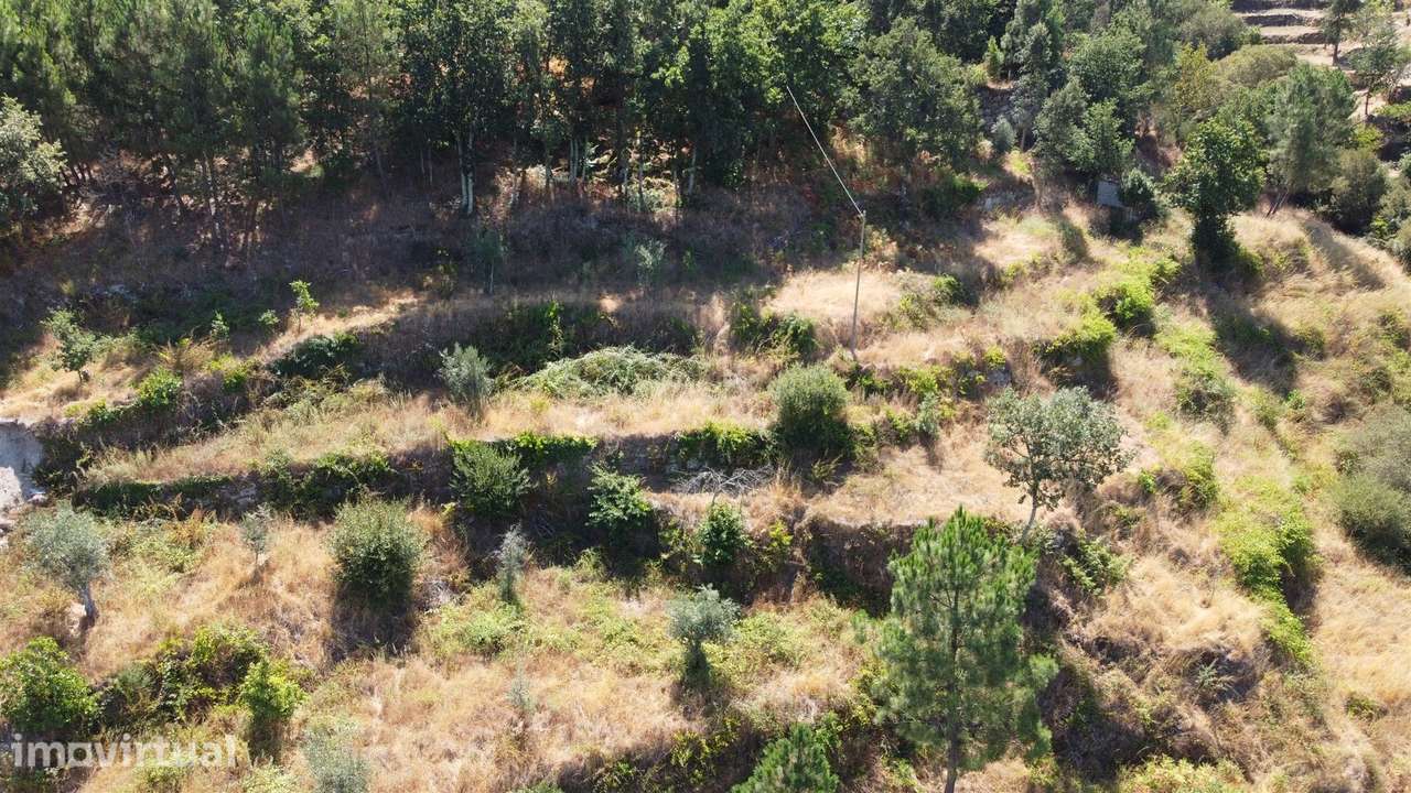 Quinta T0 Venda em Seia, São Romão e Lapa dos Dinheiros,Seia - Grande imagem: 5/8