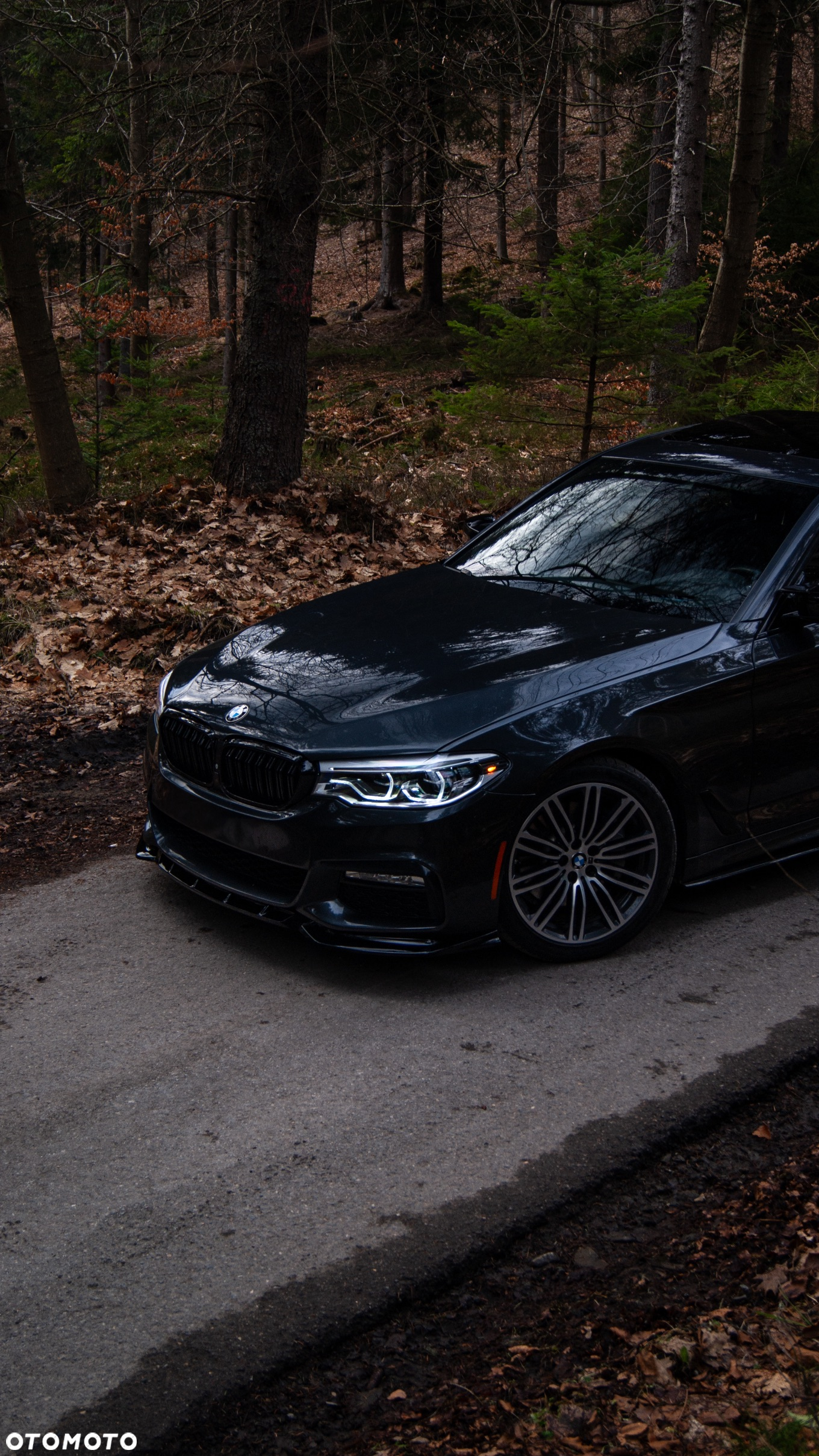 BMW Seria 5 - 38
