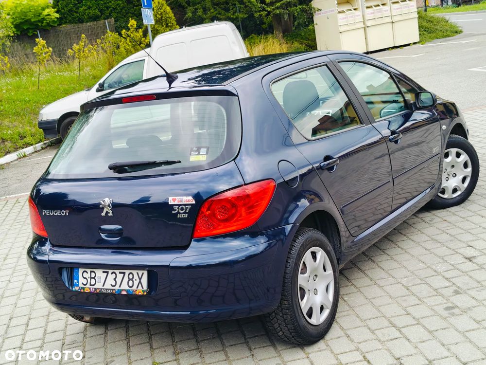 Peugeot 307 HDi 90 Grand Filou Cool - 3