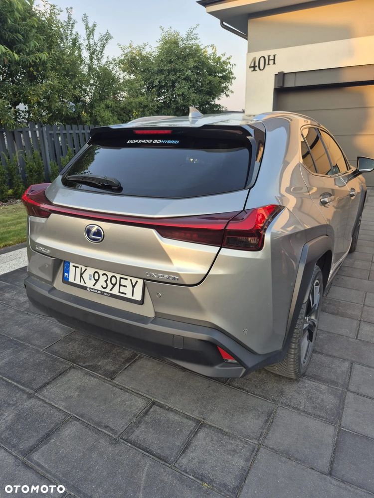 Lexus UX 250h GPF Business Edition 2WD - 7