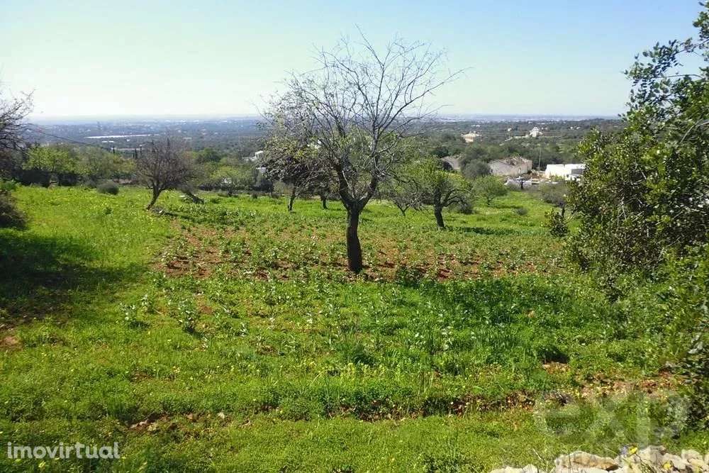 Land of 5622,40m2 with registered construction  and stunning views ove - Grande imagem: 4/9