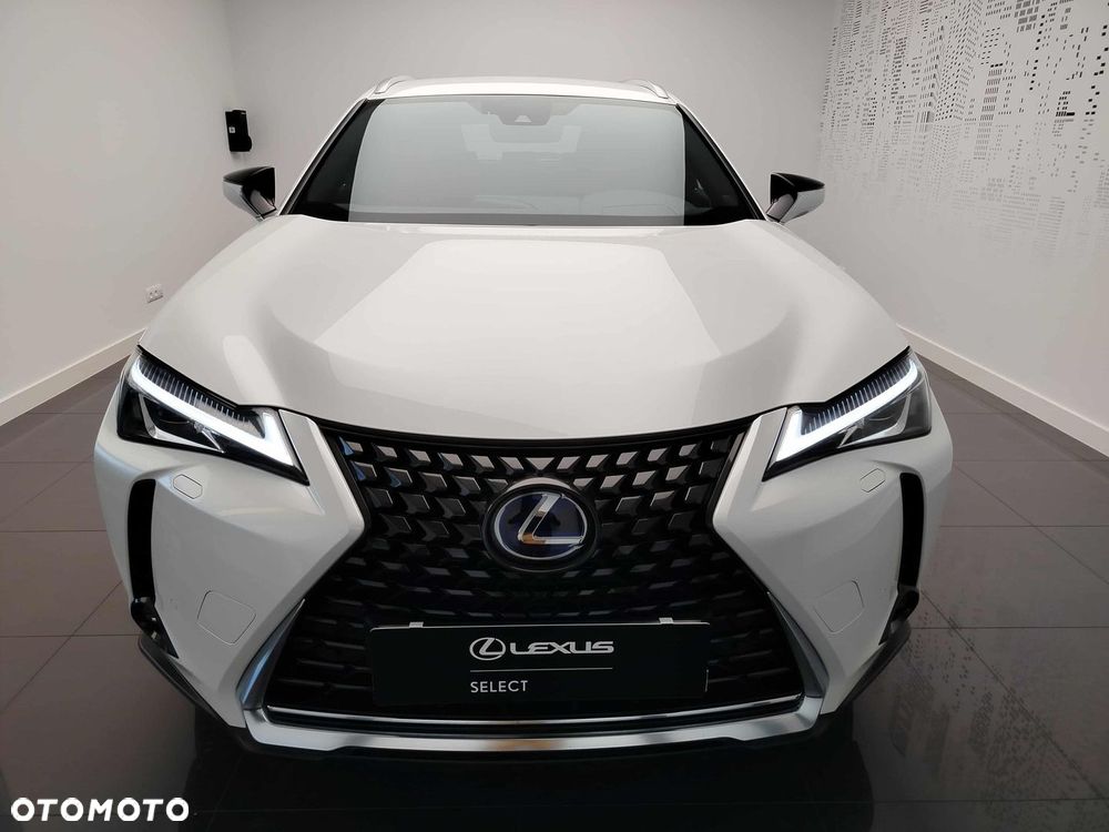 Lexus UX 250h GPF Business Edition 2WD - 2