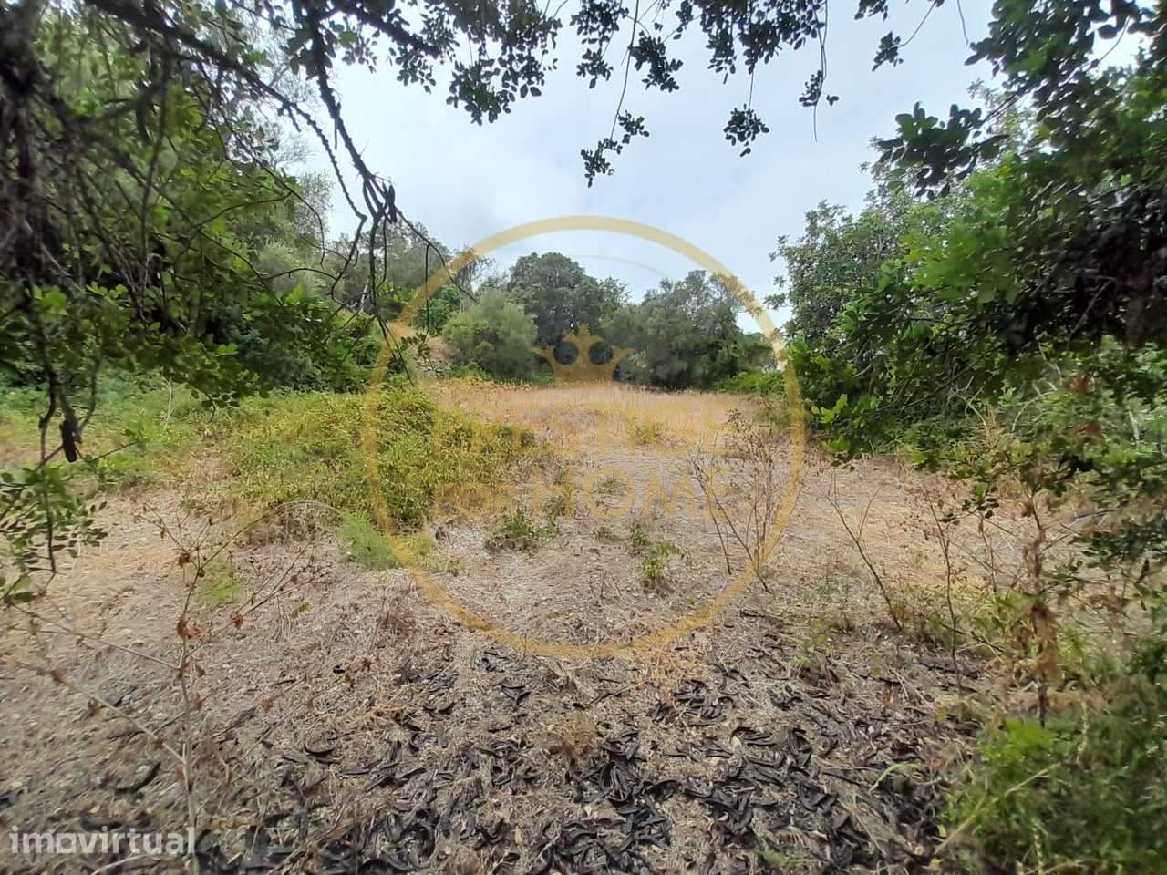 Oportunidade de Investimento: Terreno Agricola de 3.142 m² em Loulé,lo - Grande imagem: 2/7