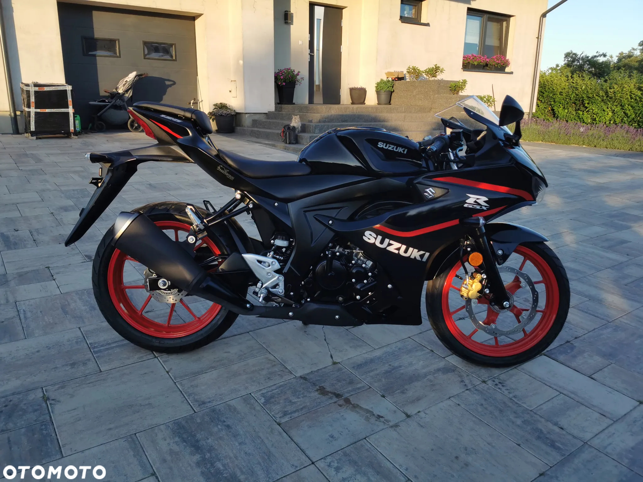 Suzuki GSX-R - 6