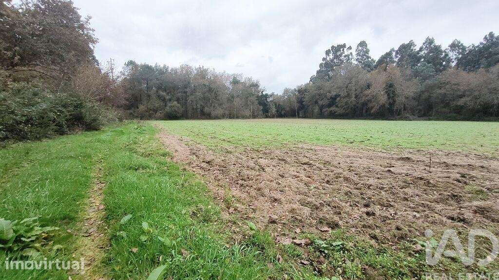 Terreno Agrícola em Cornes - Grande imagem: 2/4