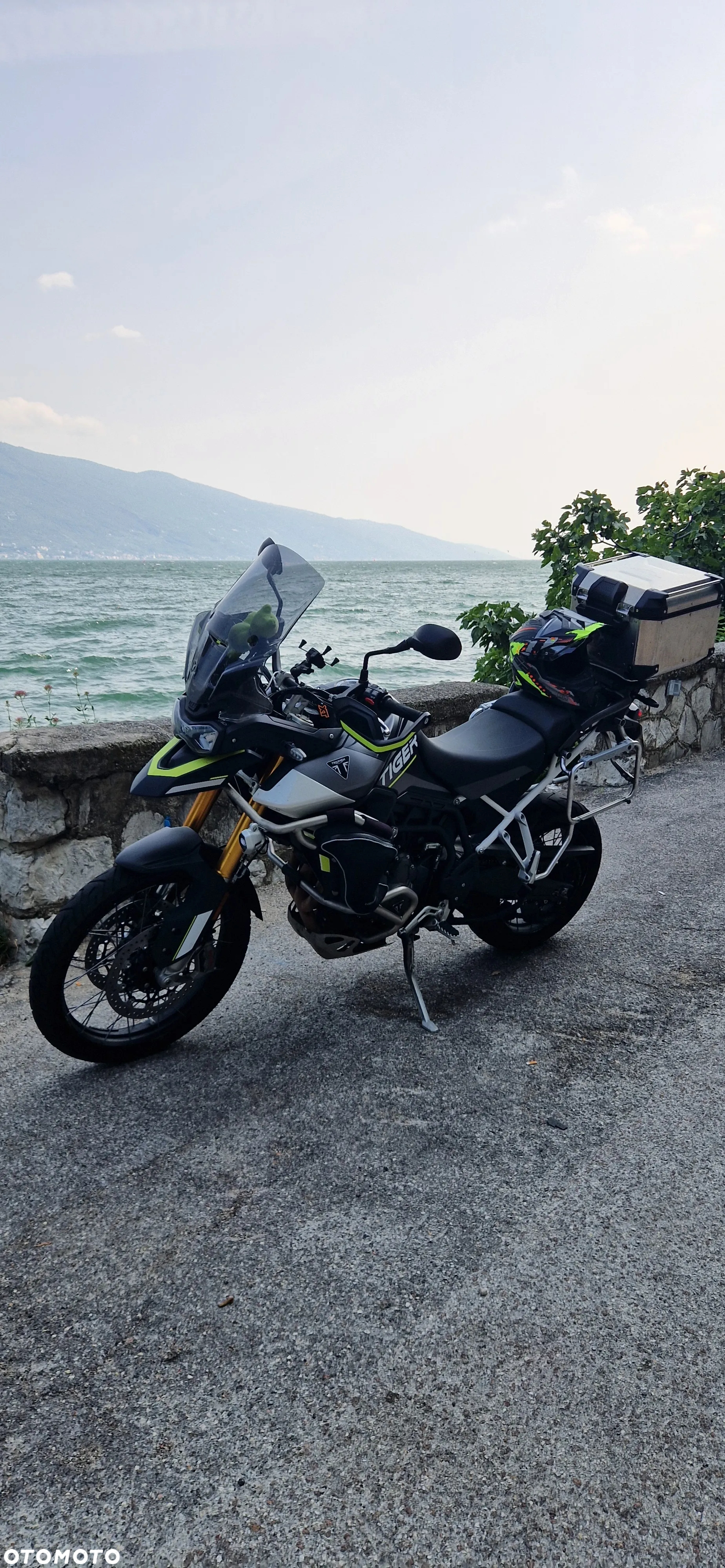 Triumph Tiger - 20
