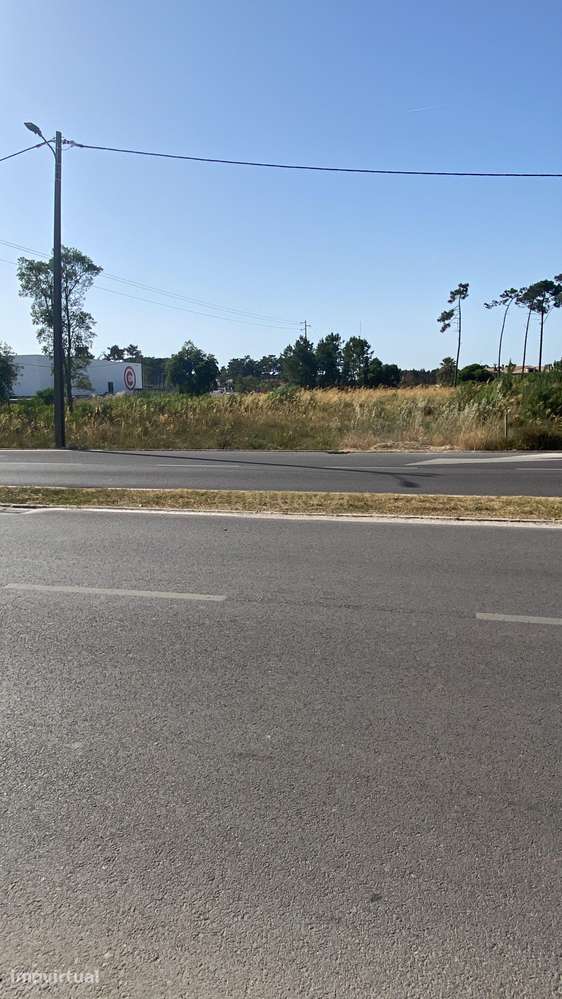 Oportunidade: Terreno 5000 m2 avenida do mar - Verdizela - Grande imagem: 5/6