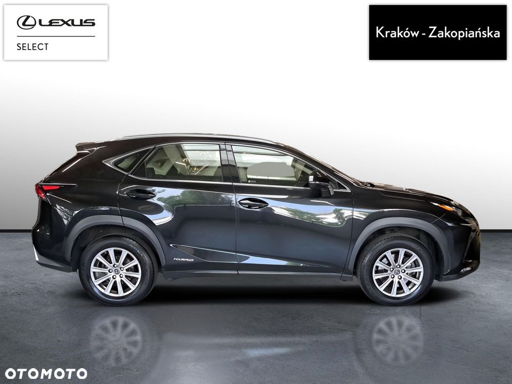 Lexus NX 300h Elegance AWD - 7