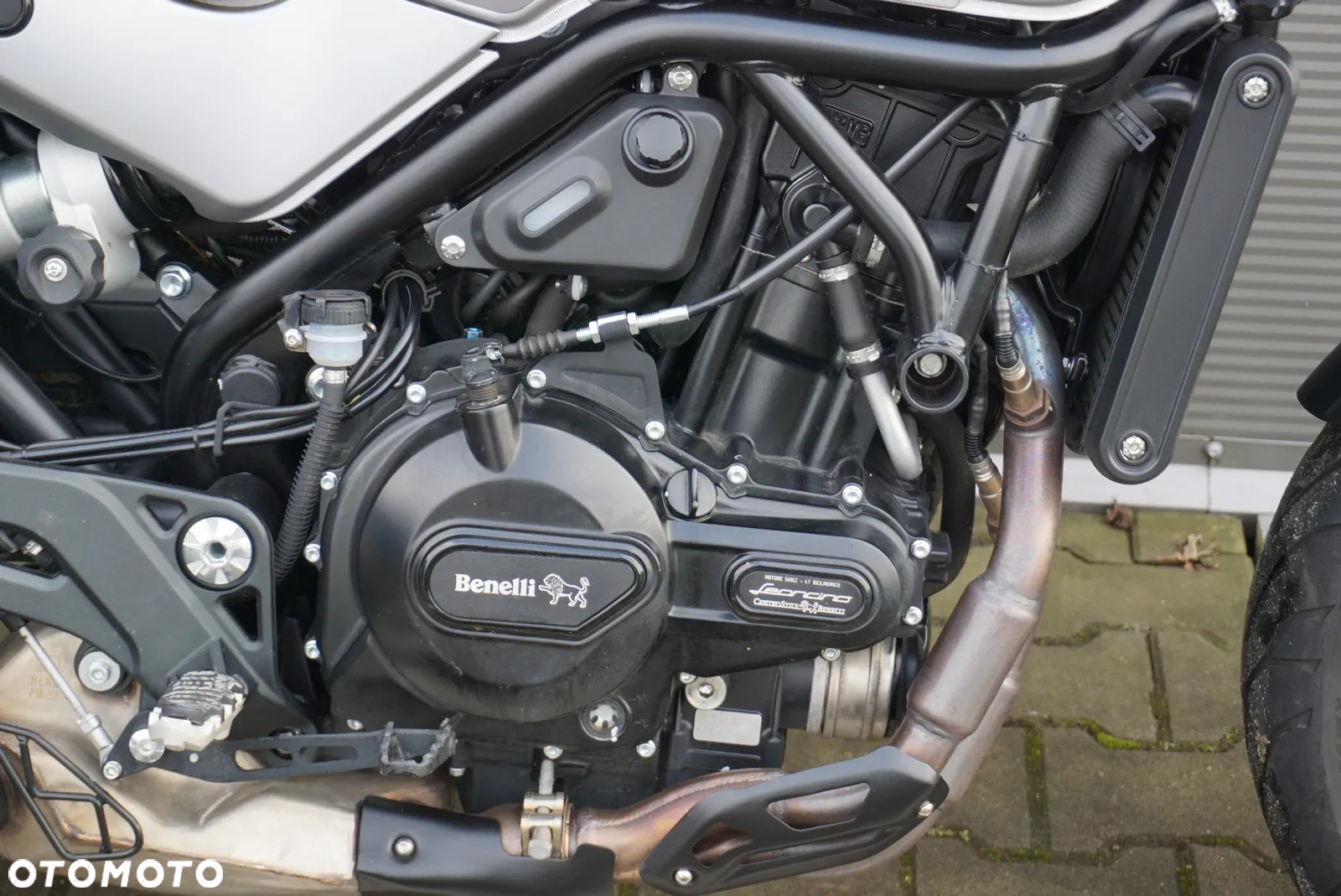 Benelli Leoncino - 5