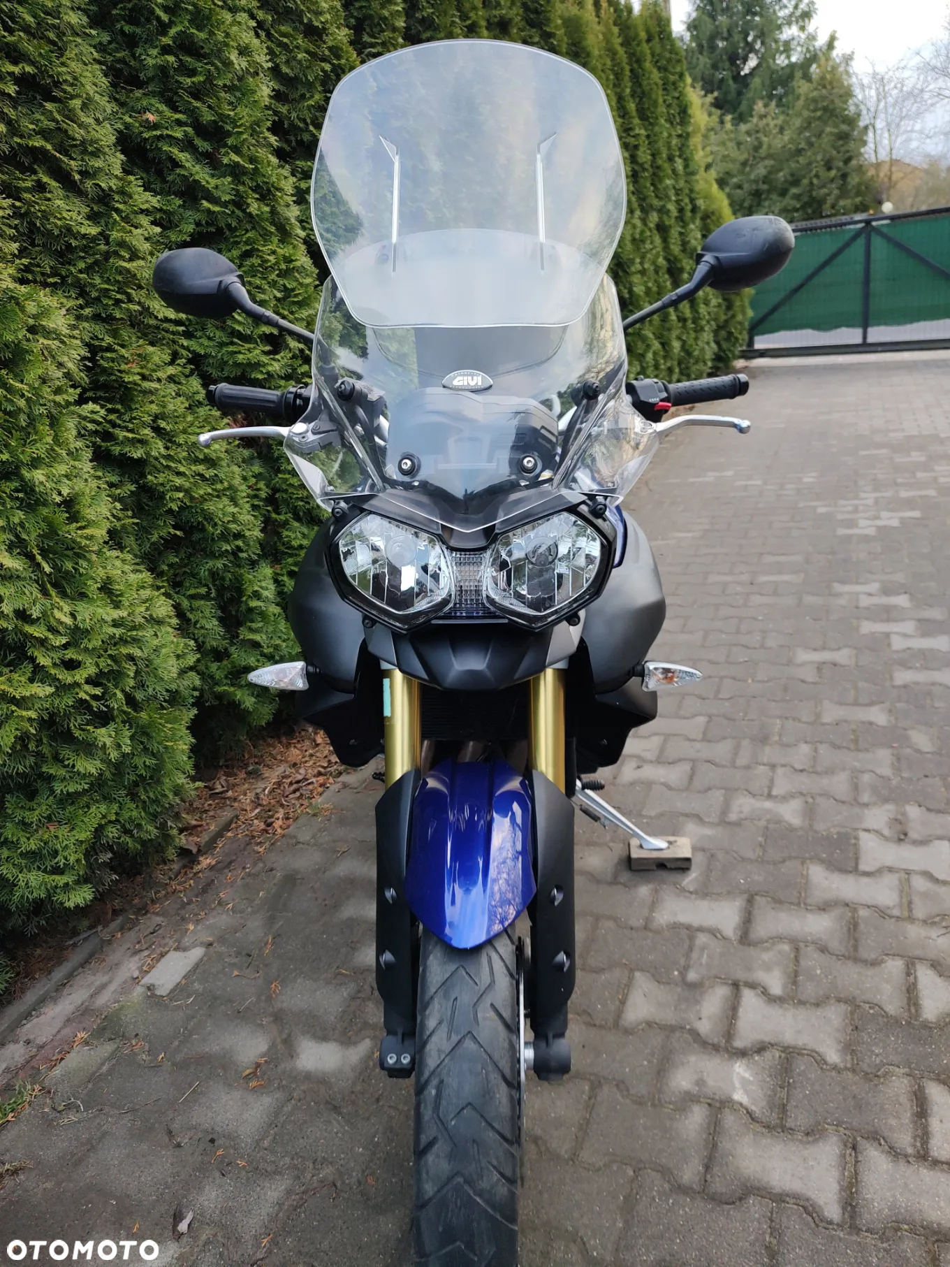 Triumph Tiger - 7