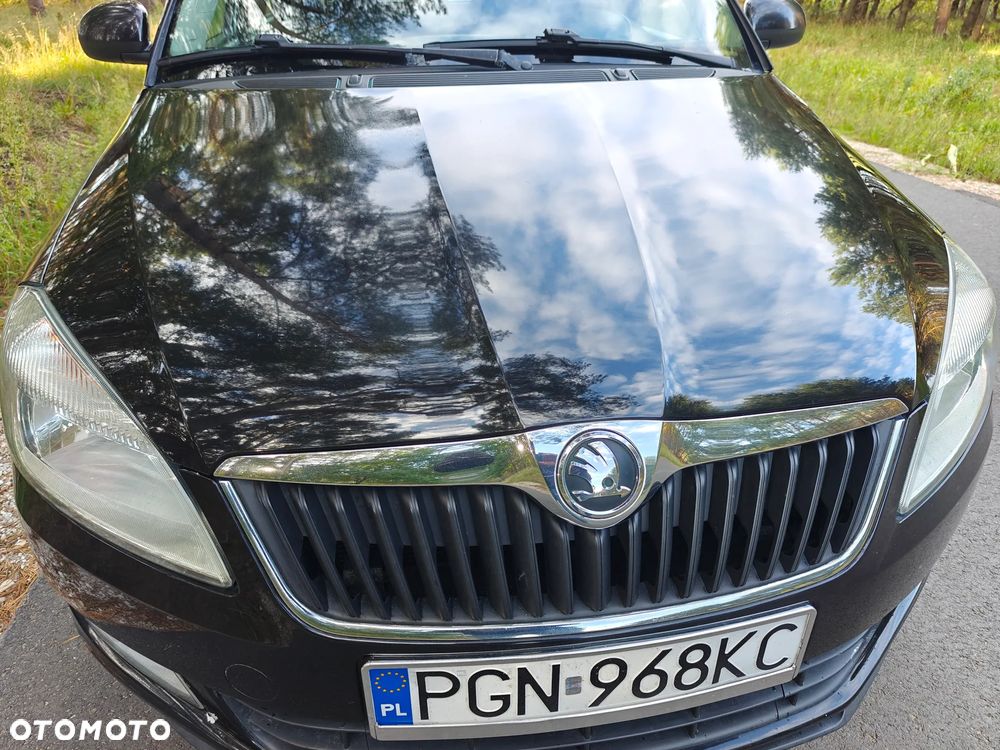 Skoda Fabia 1.6 TDI DPF Active Plus - 12