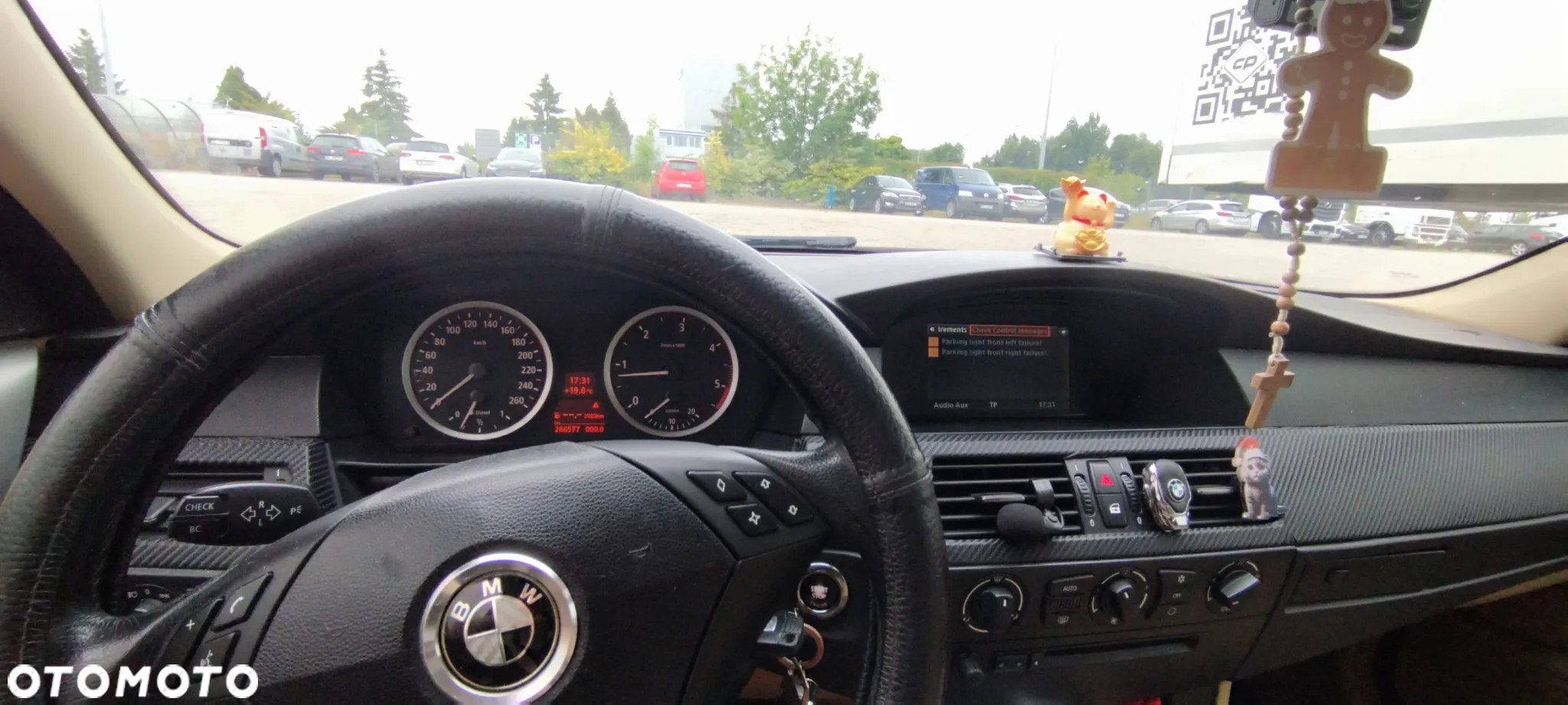 BMW Seria 5 520d - 30