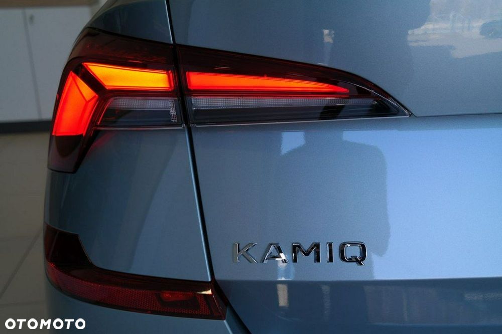 Skoda Kamiq - 10