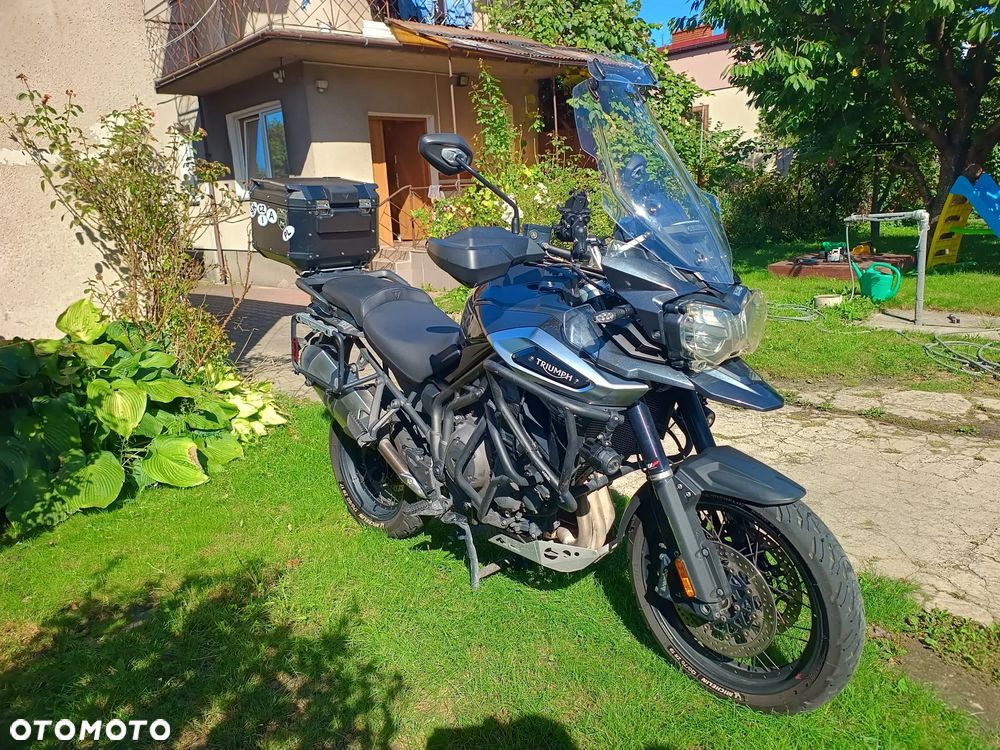 Triumph Tiger - 3