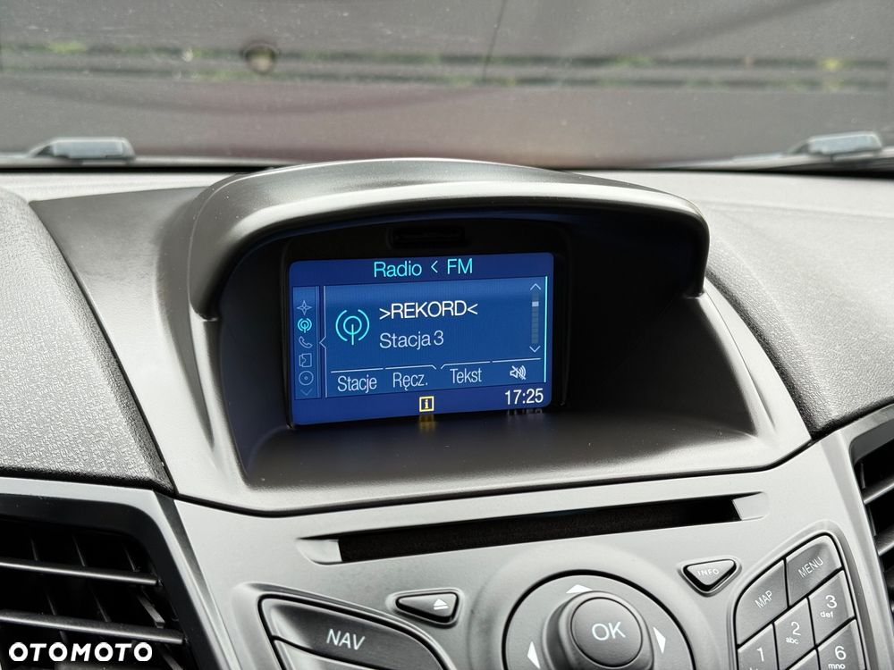 Ford Fiesta 1.6 EcoBoost ST - 19