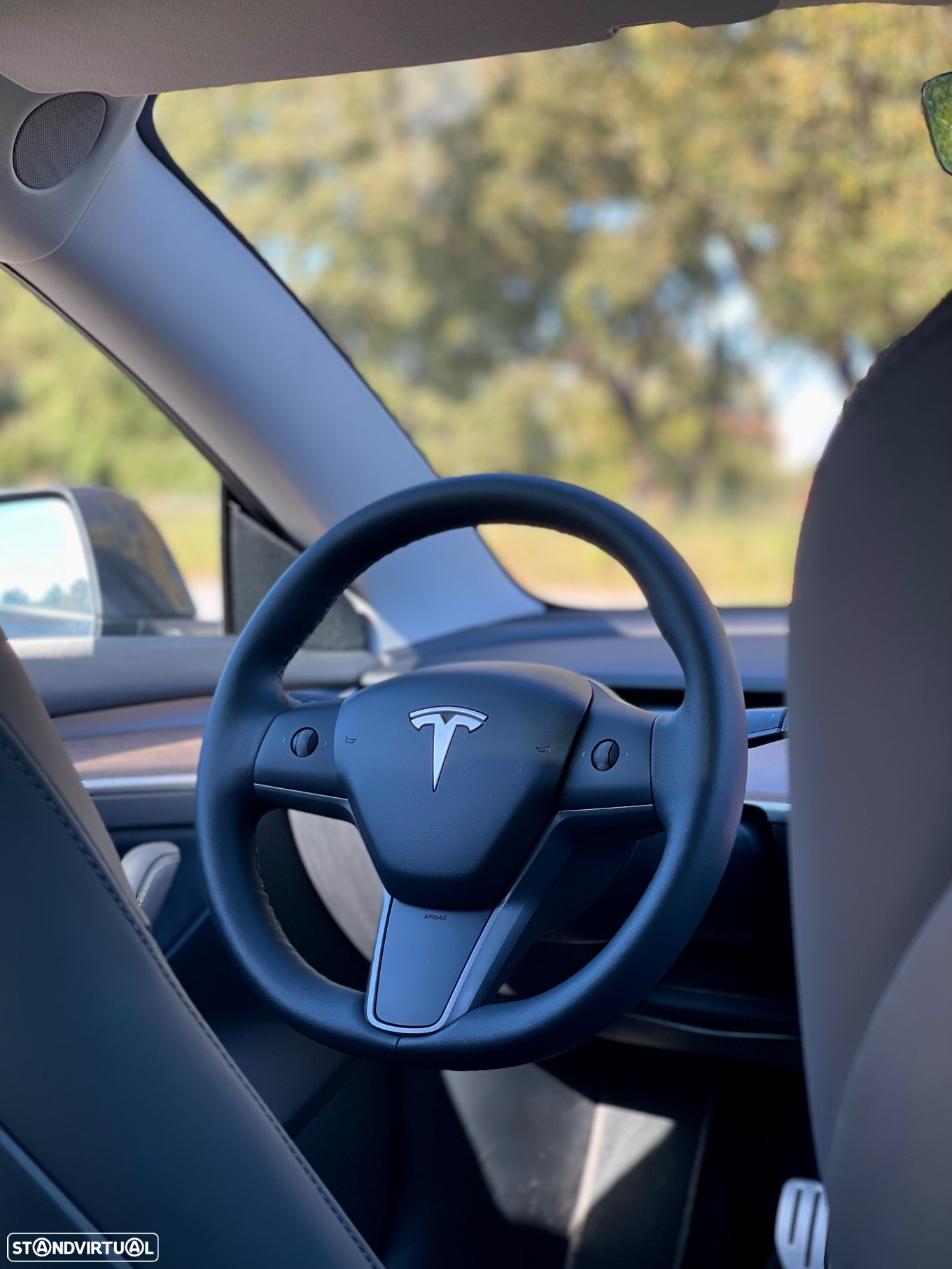 Tesla Model 3 Performance Dual Motor AWD - 17