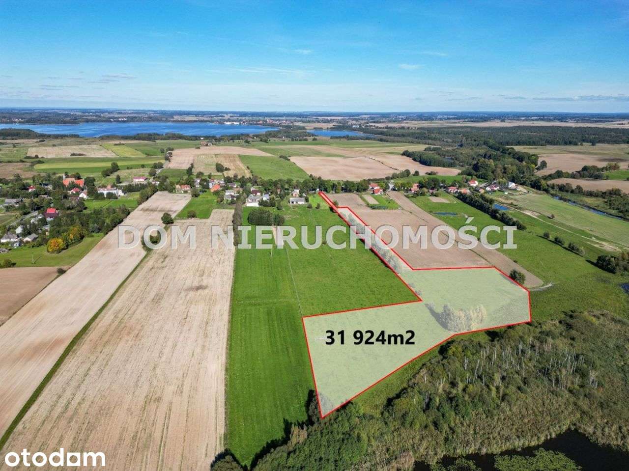 Działka z linią brzegową nad Jeziorakiem-Dobrzyki - Pełny obrazek: 3/20