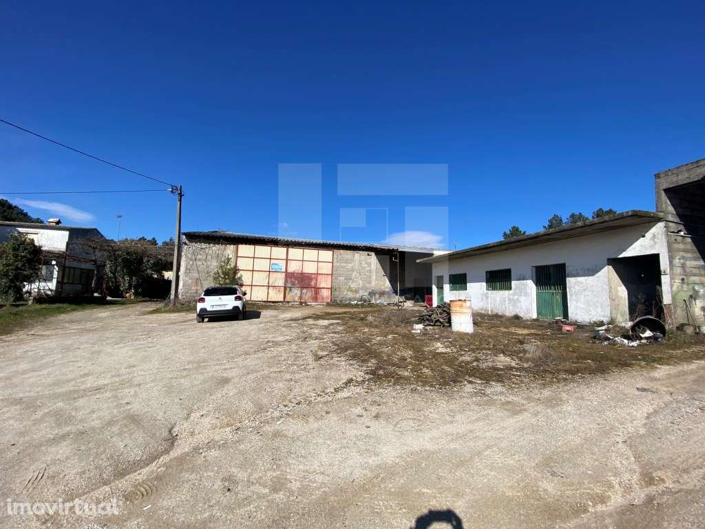 ARMAZÉM - SERNANCELHE - Grande imagem: 2/9