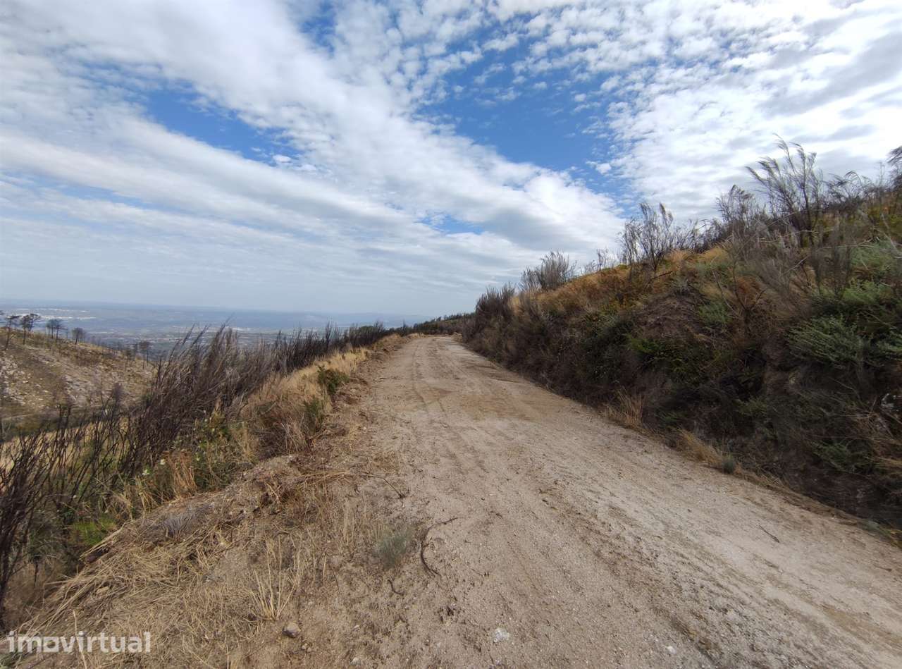 Quinta  Venda em Figueiró da Serra e Freixo da Serra,Gouveia - Grande imagem: 3/6