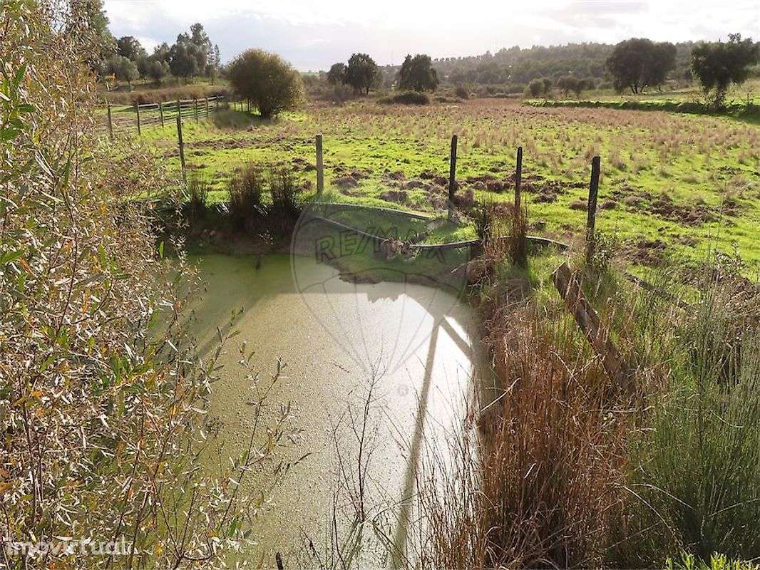 Quinta  para venda - Grande imagem: 5/35