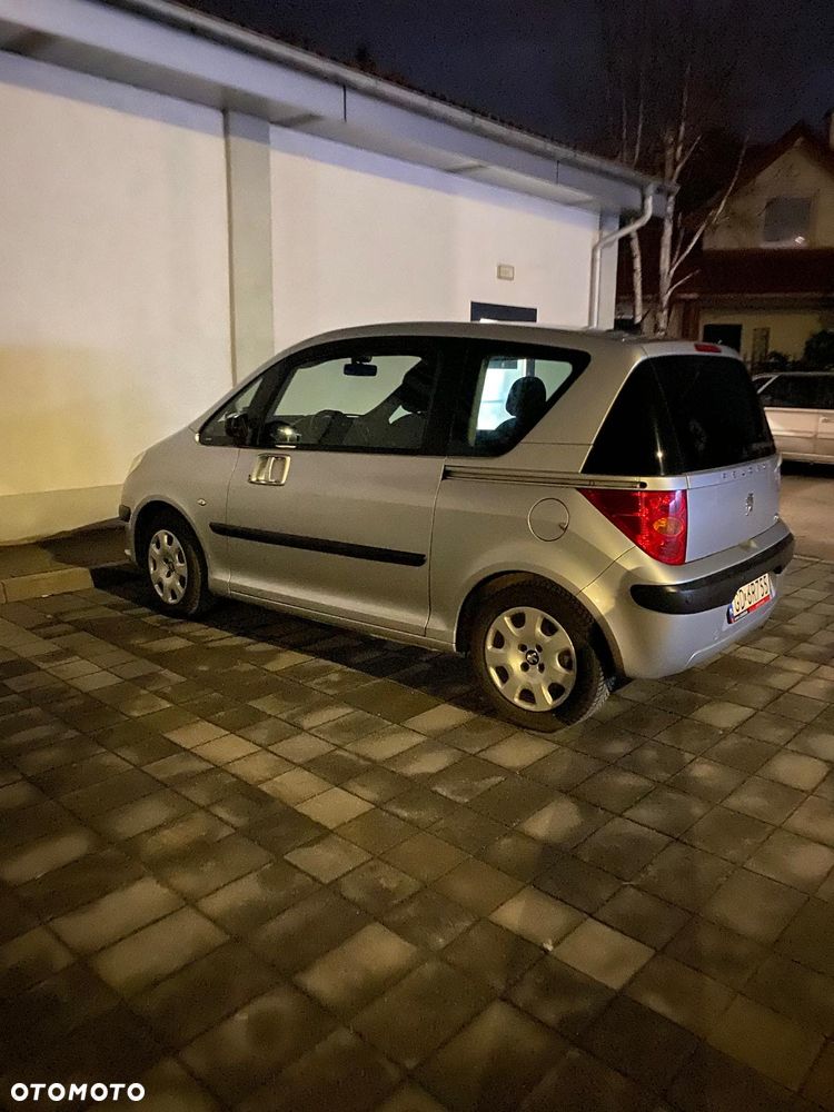 Peugeot 1007 - 17