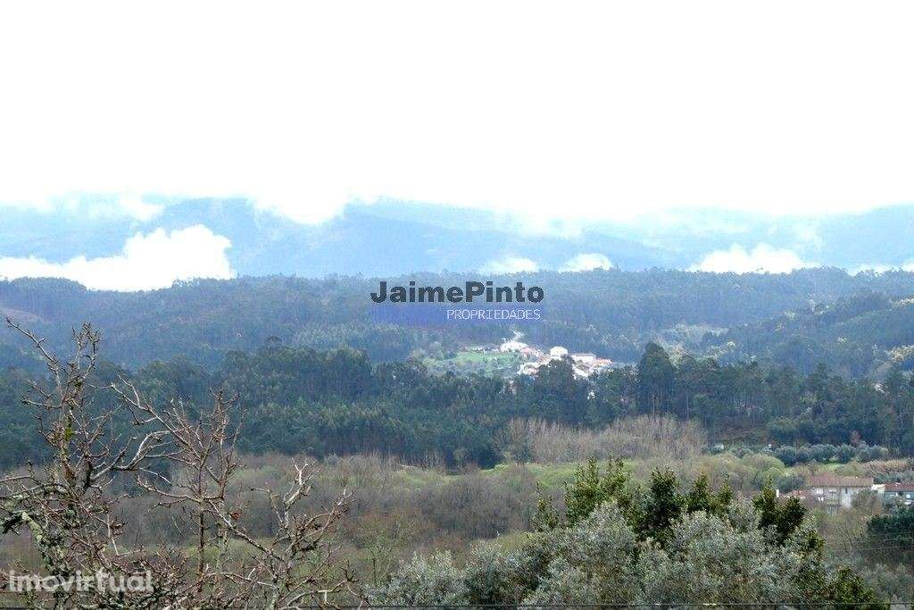 Casa, Ruína p/ restauro ou nova Edificação, em Rio Vide. Coimbra, M... - Grande imagem: 3/7