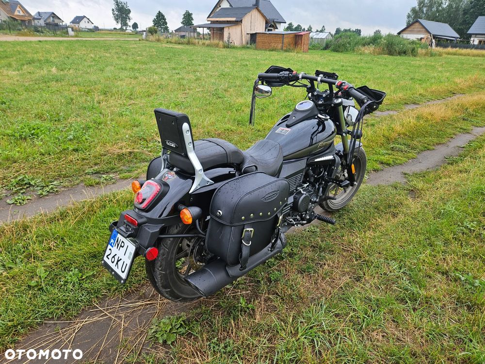 UM Renegade Freedom - 5