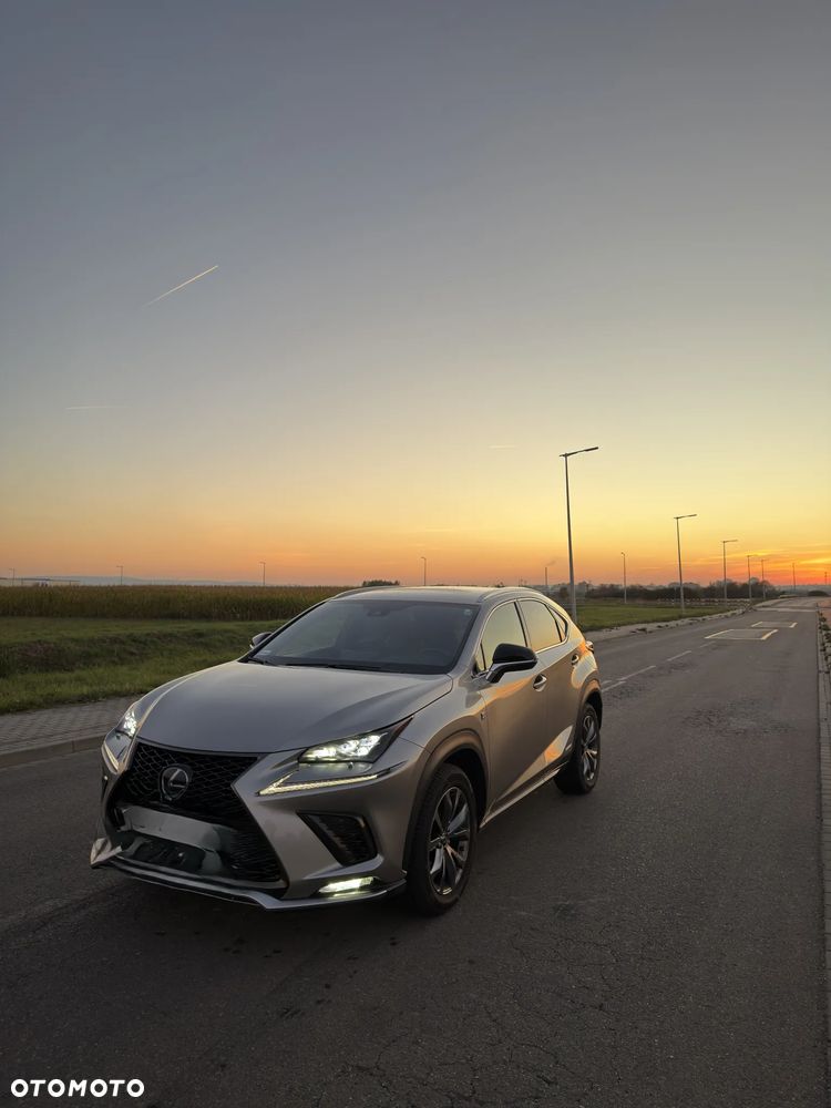 Lexus NX - 5