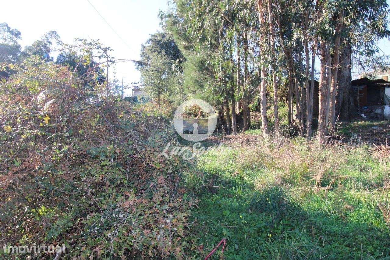 Terreno para construção de moradia c/ 2000m2 em Sequeiró, Stº Tirso - Grande imagem: 2/10