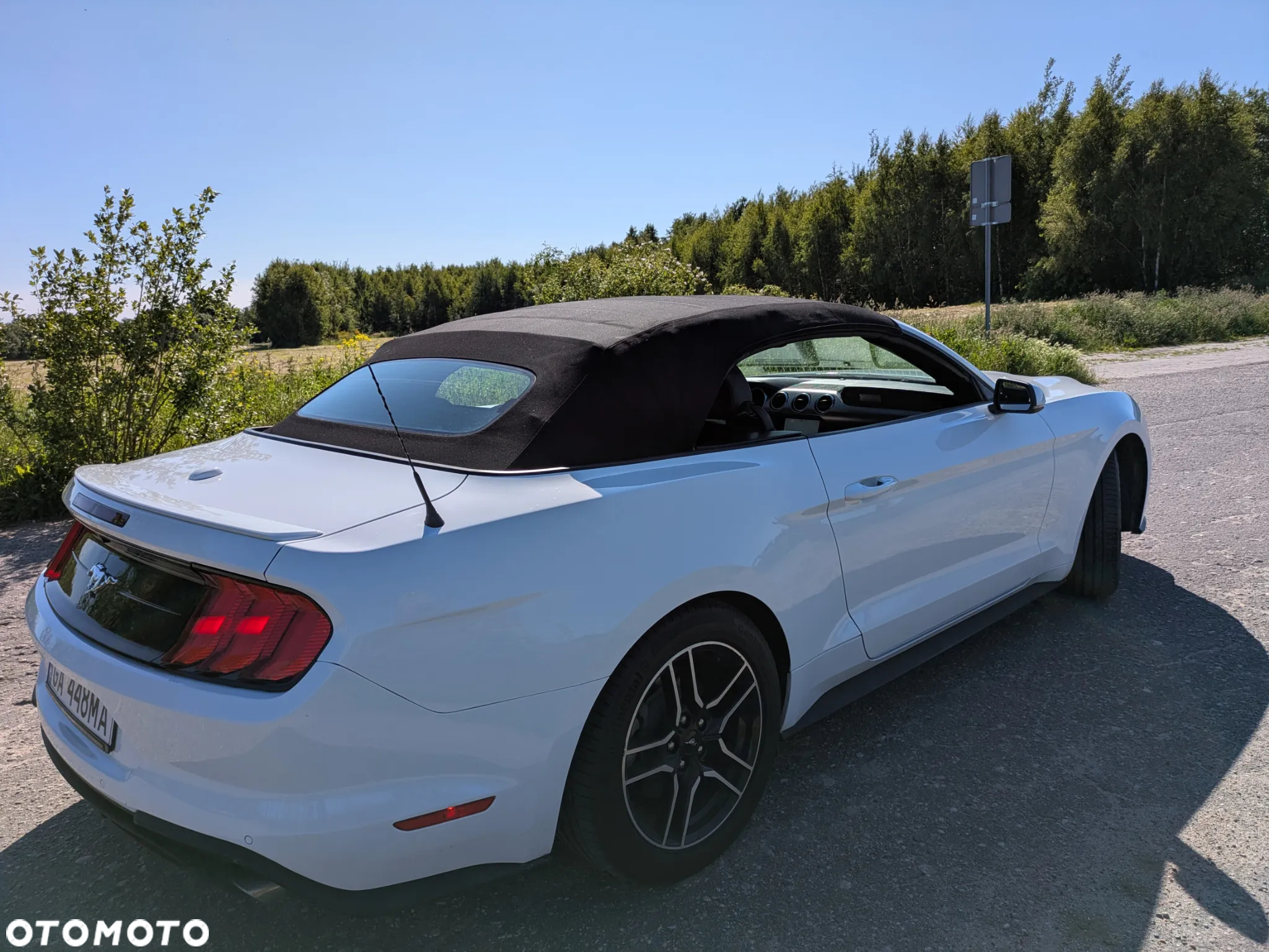 Ford Mustang 2.3 EcoBoost - 39
