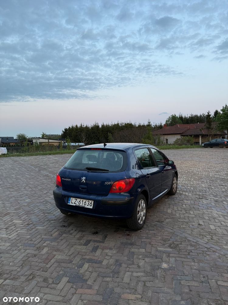 Peugeot 307 - 4