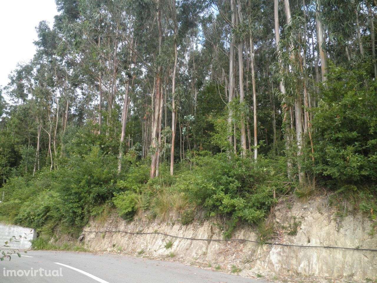 Terreno p/construção – Sever do Vouga - Grande imagem: 2/11