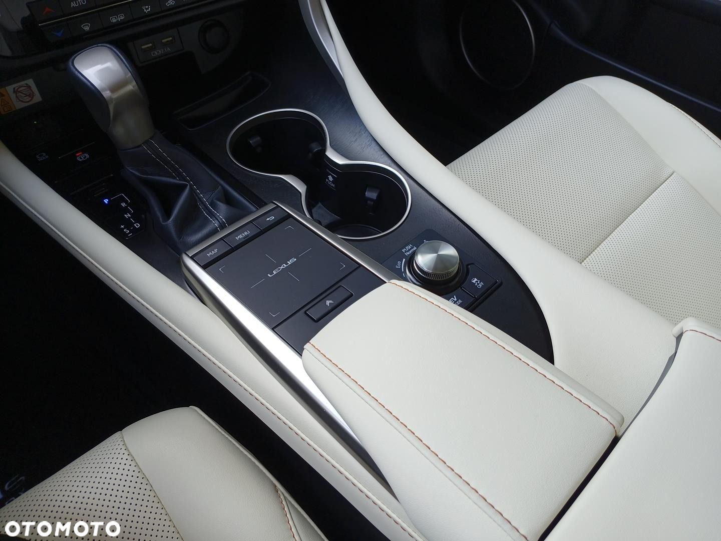 Lexus RX - 19