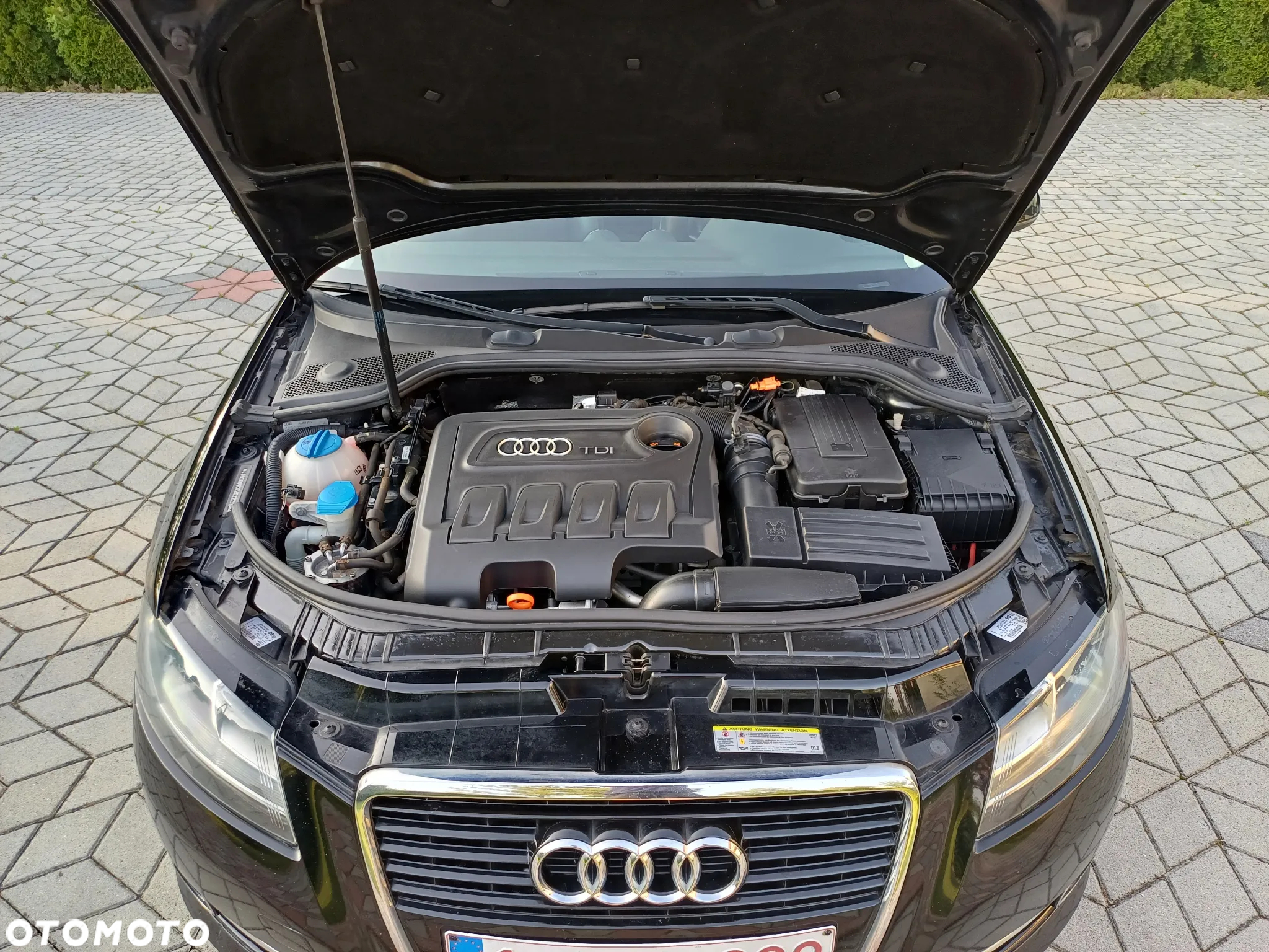 Audi A3 2.0 TDI DPF Ambition - 31