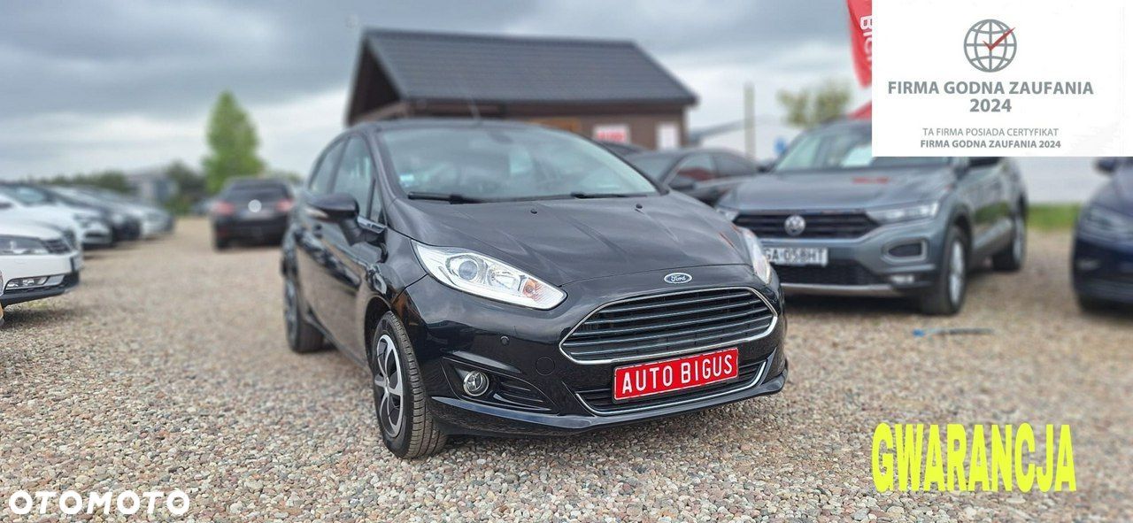 Ford Fiesta - 1