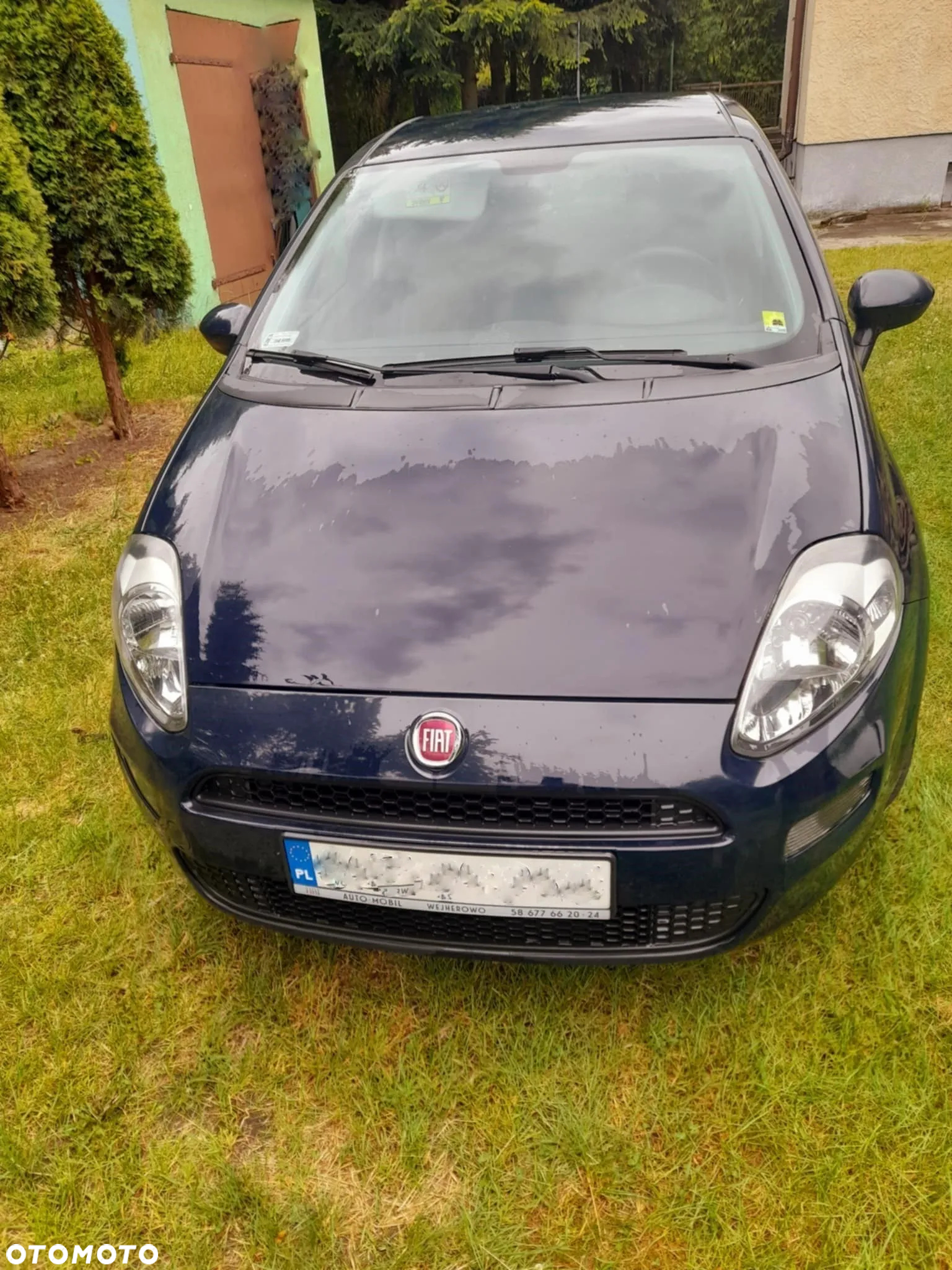 Fiat Punto 1.2 Easy - 2