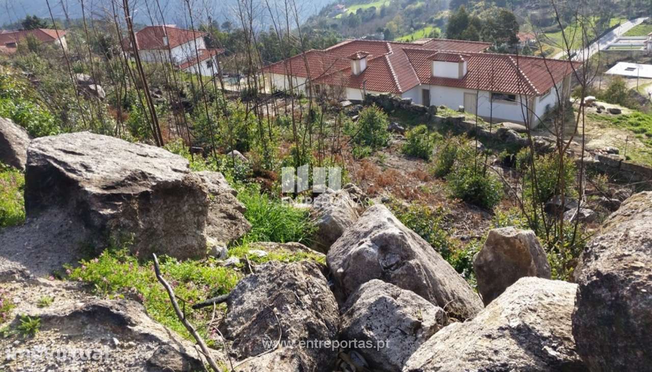 Venda Terreno, Frente Estrada, Penha Longa, Marco de Canaveses - Grande imagem: 4/6