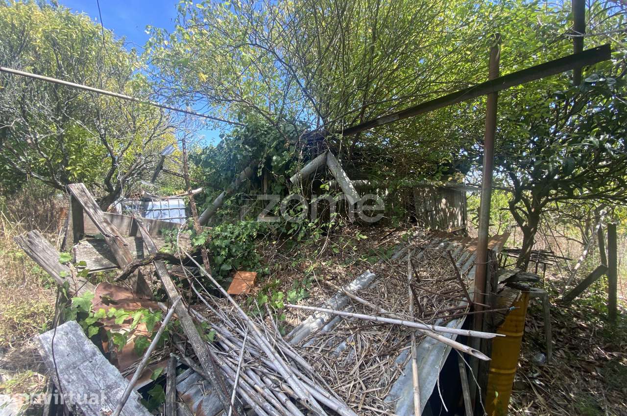 Terreno Rústico com 2.700 m² | Figueira da Foz - Grande imagem: 4/15